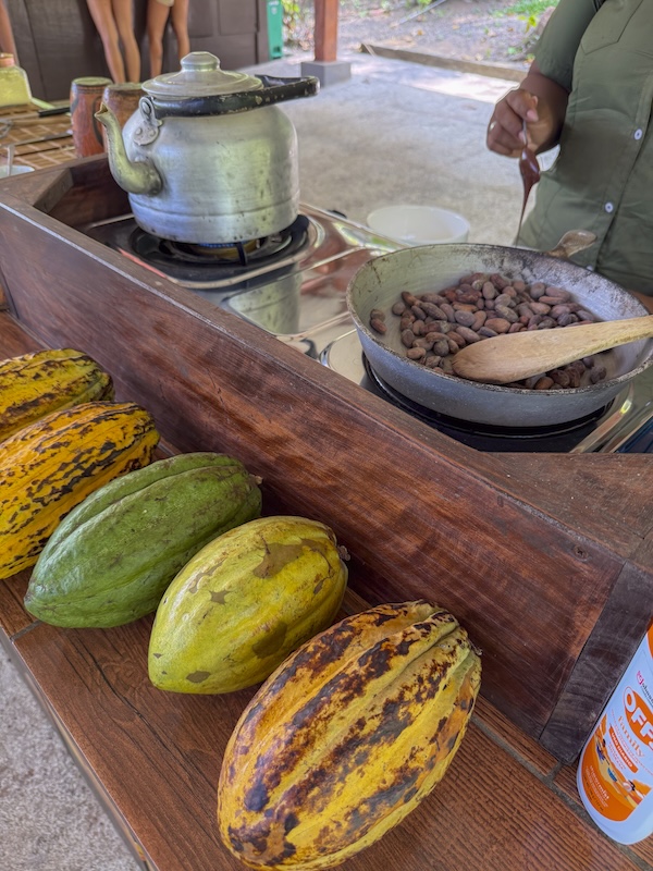 Cacao Tour in Costa Rica