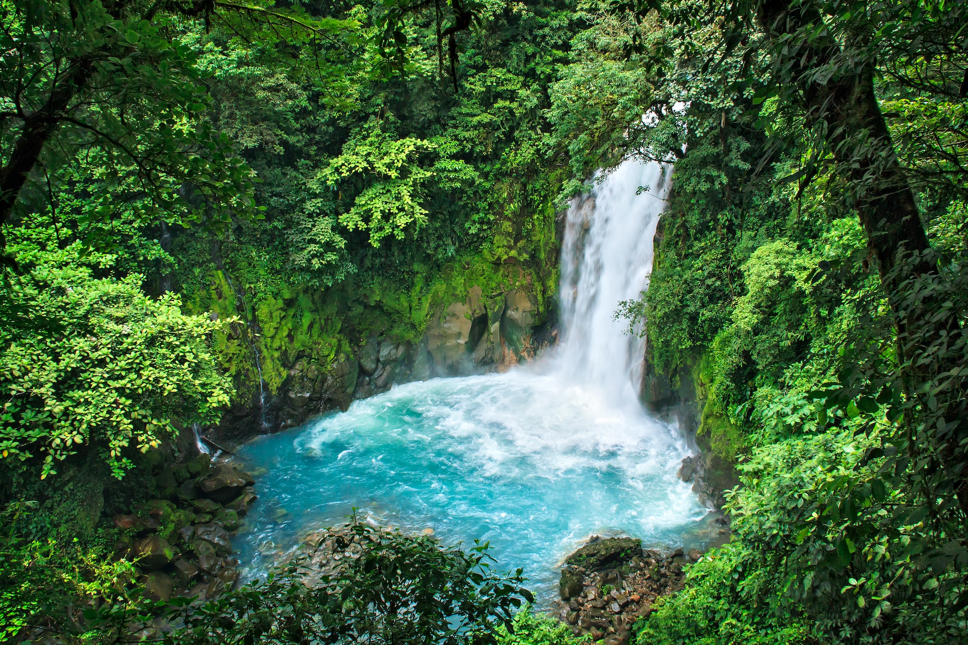 Here are the best times to visit Costa Rica